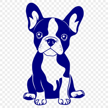A full-body illustration of a Boston Terrier sitting on its haunches, suitable for vector art designs and commercial use.