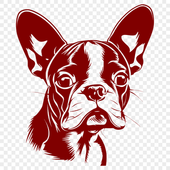 Boston Terrier head illustration for pet owners and artists using vector art software.