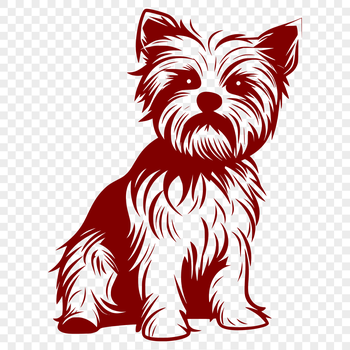A small dog breed sitting on its haunches, showcasing its distinctive features.