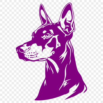 A detailed illustration of a Doberman Pinscher's head in a vector format.