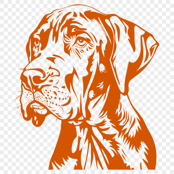 A large breed dog with a distinctive head shape, suitable for pet owners and animal enthusiasts.
