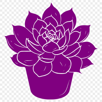 A detailed illustration of a succulent plant with thick fleshy leaves, suitable for use in gardening and floral designs.