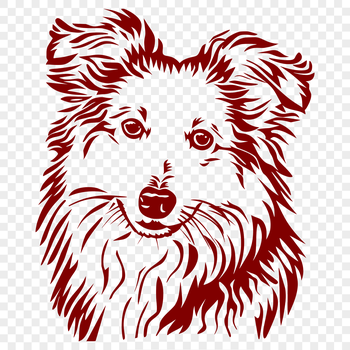A vector illustration of a Shetland Sheepdog's head, suitable for digital design.