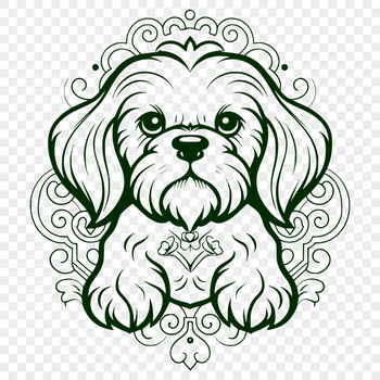 Unique Sitting Shih Tzu PDF