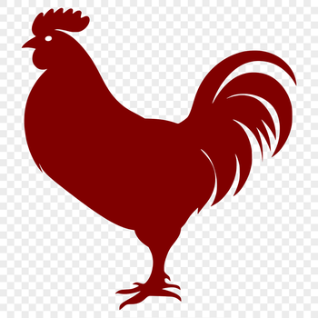 A full-body illustration of a chicken, suitable as a vector graphic.