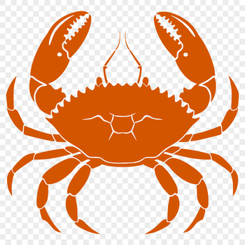 A detailed, high-resolution illustration of a crab's full body.