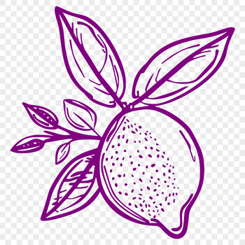A high-quality illustration of a single lemon on a white background.