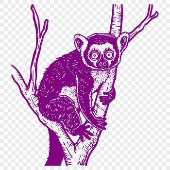 A vector illustration of a lemur in full body pose.