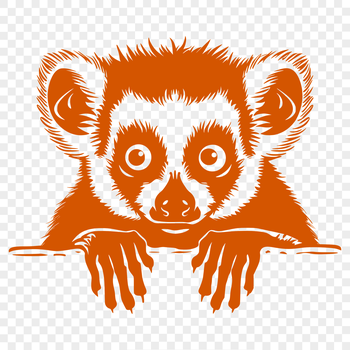 A lemur peeking out from behind foliage, depicted in vector style.