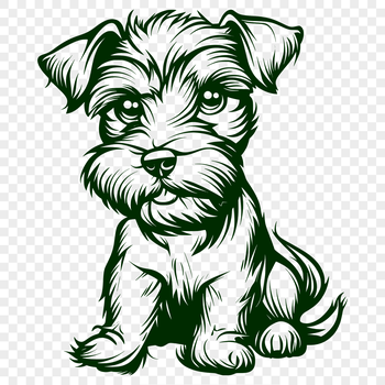 A small breed dog with a distinctive beard and mustache sitting on its hind legs.
