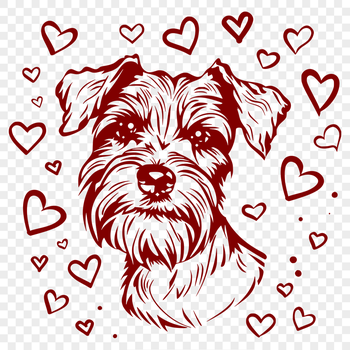 Unique Miniature Schnauzer - For Pet Project