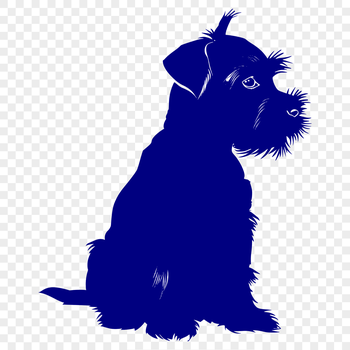 A full-body illustration of a Miniature Schnauzer sitting on a surface.