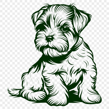 A portrait of a Miniature Schnauzer sitting on a surface.
