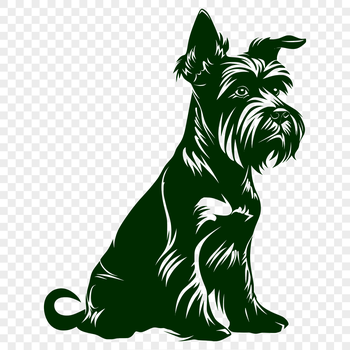 A small dog breed, the Miniature Schnauzer is depicted in full body sitting pose.