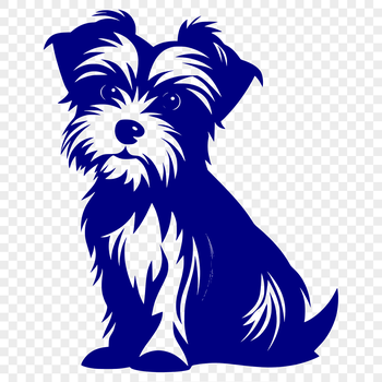 A Morkie dog sitting on its haunches in a full-body pose.