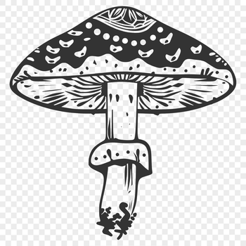 Illustrated mushroom graphic in vector format, suitable for various digital applications.