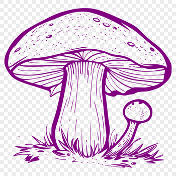 Free Mushroom - Procreate DXF