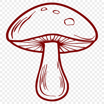 Close-up illustration of a stylized mushroom in vector format.