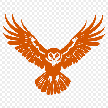 Beautiful Flying Owl PNG