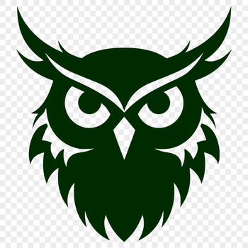 A detailed illustration of an owl's head, with a realistic representation of its feathers and facial features.