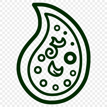 A detailed ornate paisley shape used as a vector design element for digital applications.