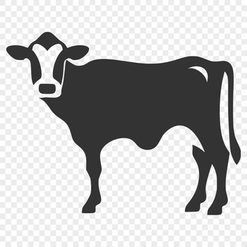 A detailed illustration of a cow's full body, suitable for graphic design and printing.