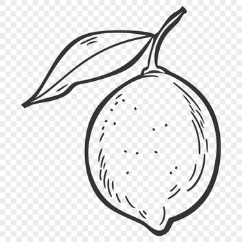 A high-resolution digital illustration of a lemon fruit with a clear outline.