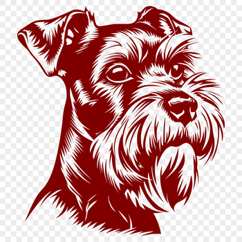A digital illustration of a Miniature Schnauzer dog's head, suitable for vector art designs.