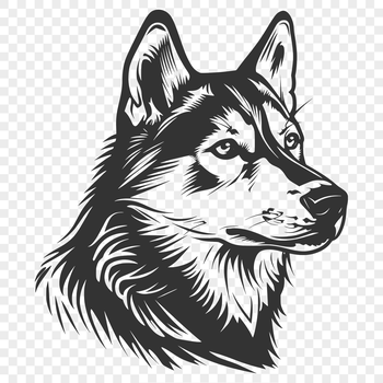A Siberian Husky's head is centered in this vector illustration, ideal for digital designs and crafts.
