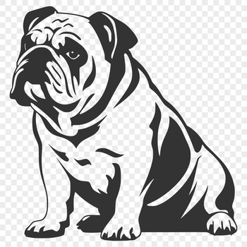 A detailed vector drawing of a bulldog in a sitting position from head to paw.