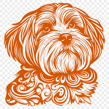 A digital illustration of a small breed dog with a curly coat, typical of the Havanese breed.