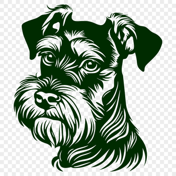 Artistic Miniature Schnauzer Vector Drawing