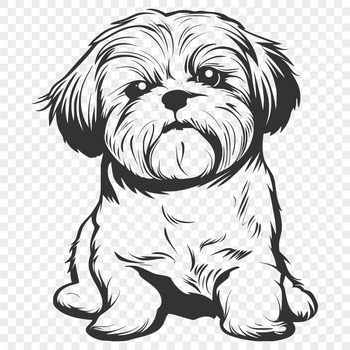 A full-body illustration of a Shih Tzu sitting in a relaxed position.