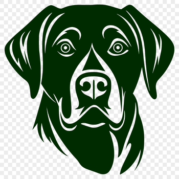 Close-up illustration of a Labrador Retriever's head, suitable for vector art and clipart design.