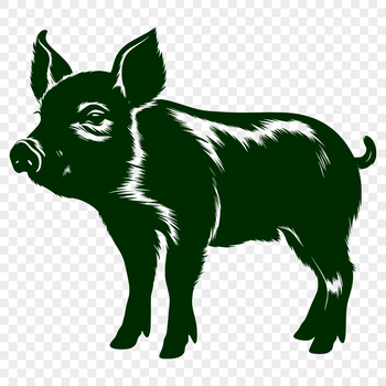 An illustration of a standing farm animal, identified as a pig.