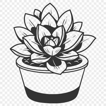 Illustrative succulent plant with thick fleshy leaves, suitable for vector graphics design and cutting machine projects.