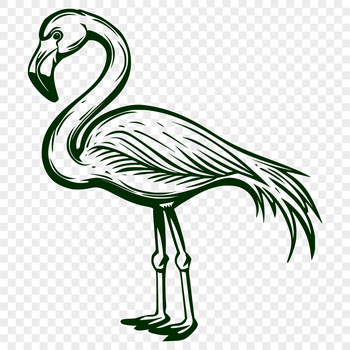 A detailed vector illustration of a flamingo standing upright on one leg.