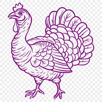 Beautiful Turkey Vector Art