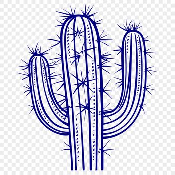 A single stem cactus with sharp spines in a desert landscape.