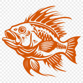 Creative Fish SVG, PNG, PDF And DXF Files