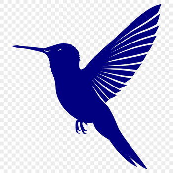 A detailed illustration of a hummingbird in mid-flight.