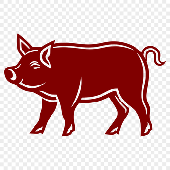 A standing pig with its entire body visible, suitable for vector design.