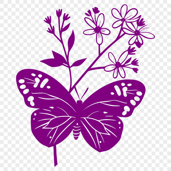 A colorful butterfly with intricate details on its wings and body, against a subtle floral background.