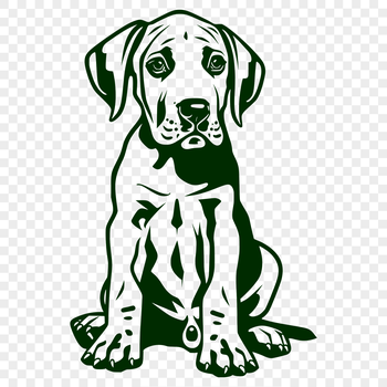 A large breed dog in full body pose, sitting comfortably.