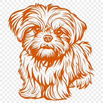 A full-body illustration of a seated Shih Tzu dog with its paws tucked under its body.