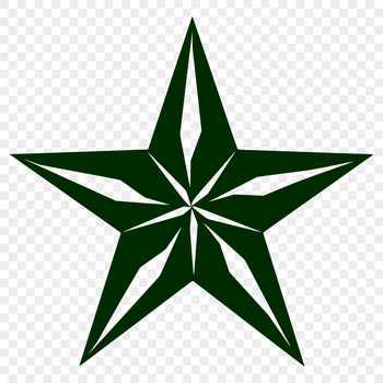 A geometric star symbol created in vector format for versatile printing and cutting applications.