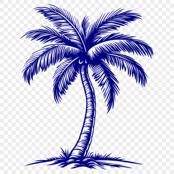 A single palm tree with fronds and trunk, suitable for various digital uses.