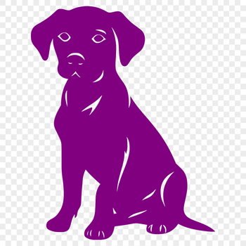 A sitting Labrador Retriever depicted in full body form, ideal for illustration purposes.