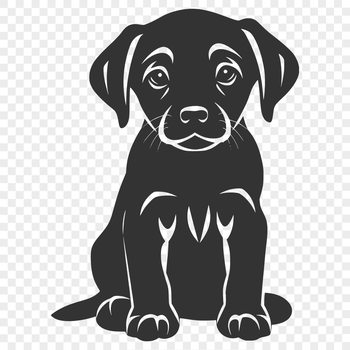 Labrador Retriever dog sitting on the floor in full body pose.