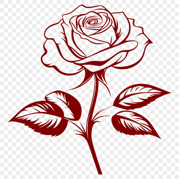A detailed illustration of a rose, suitable for vector art designs and projects.